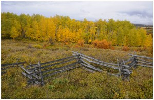Colorado 47 Fence and Foliage  